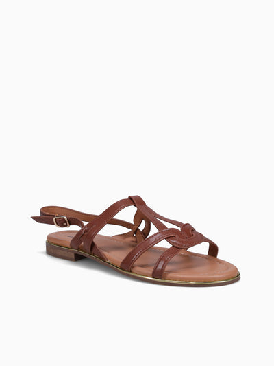 NAROA-BROWN