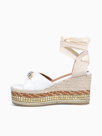 CATALEYA-WHITE