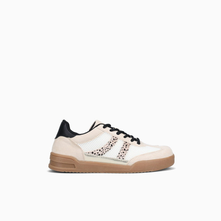 EXTON-WHITE MULTI