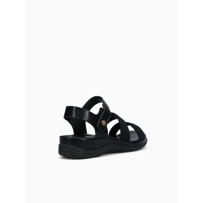 LILY-BLACK