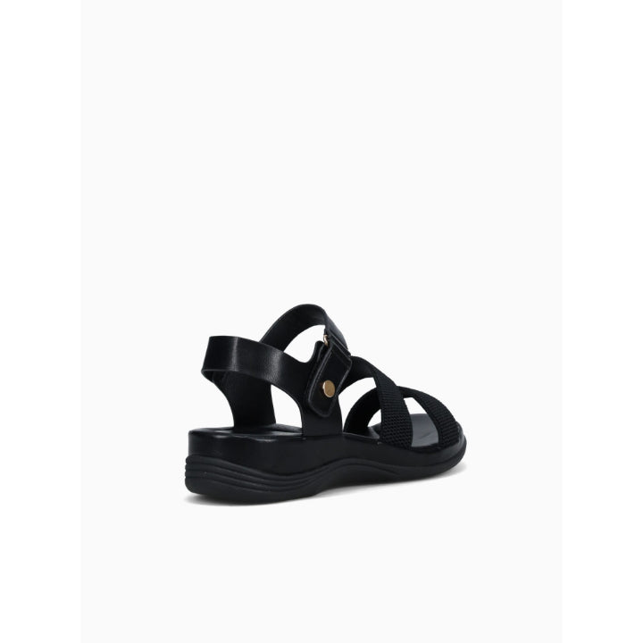 LILY-BLACK