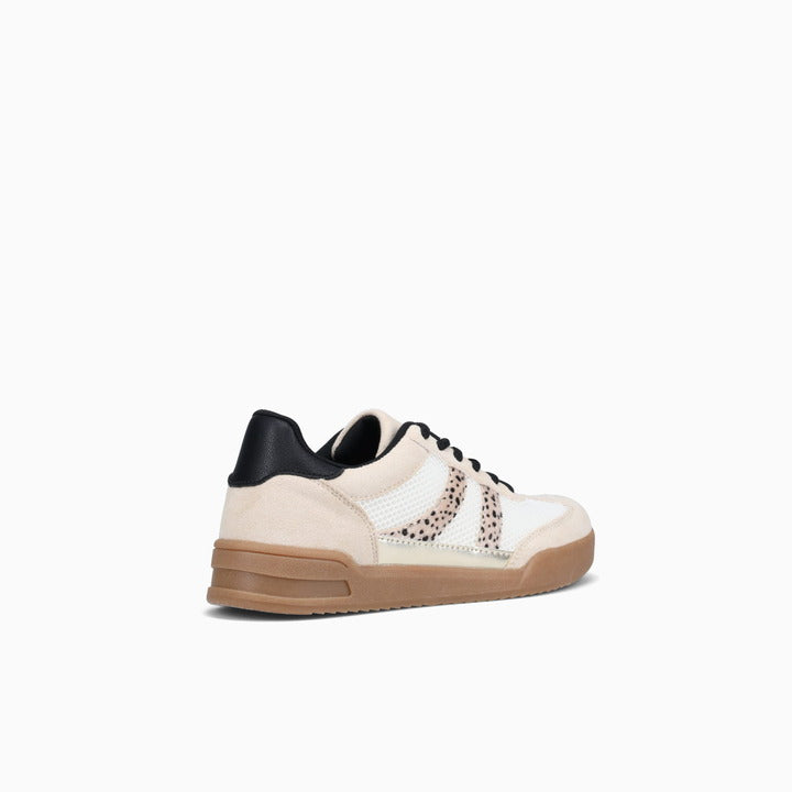 EXTON-WHITE MULTI